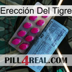 Erección Del Tigre 35